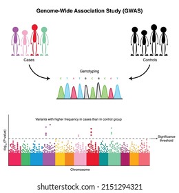 Genome-Wide Association Study (GWAS) Diagram