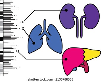 Genome-wide association study in humans