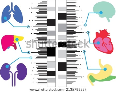 Genome-wide association study in humans