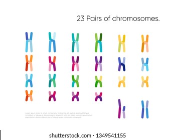 Genomic data. Dna, atom, neurons. Scientific molecule background for medicine, science technology chemistry with genomic data.
