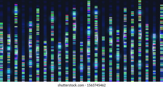 Genomic sequences visualization graph. Medicine DNA test analyse, genom map architecture. Genetic chromosome barcoding. Deoxyribonucleic acid. Big data background template, technology illustration