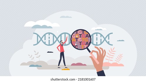 Genomics As DNA Helix Chain Structure, Function, Mapping And Evolution Genomes Scientific Research Tiny Person Concept. Biotechnology With Gene Sequence And Spiral Data Analysis Vector Illustration.