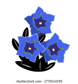 Gentian flowers or Gentiana acaulis isolated on white. Vector illustartion.