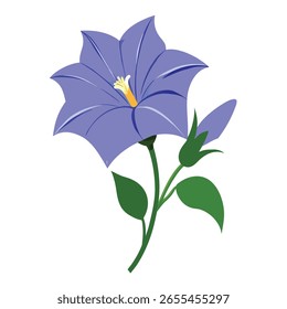 gentian vector on white background
