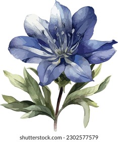 Gentiana flower clipart, isolated vector illustration.