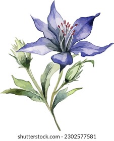 Gentiana flower clipart, isolated vector illustration.