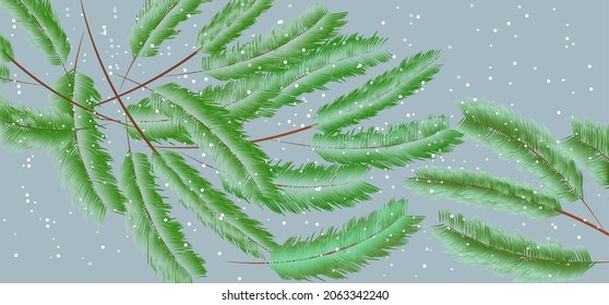 Suave fondo de invierno azul con ramas del árbol de Navidad en primer plano, posicionadas de manera diferente y la próxima nieve. Todos los objetos se agrupan. Ilustración vectorial.