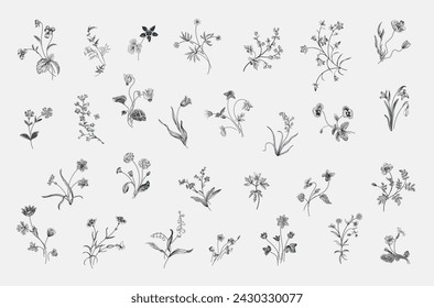 Gentle botany. Set of spring flowers. Vintage vector floral illustration. Black and white 