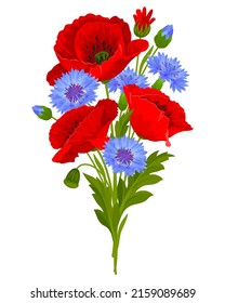 Suave ramo de flores silvestres. Flores rojas de amapola, flores azules, hojas, brotes y semillas de amapola. Ilustración vectorial.