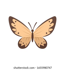 Gentle butterfly flat icon. Vector gentle butterfly in flat style isolated on white background. Element for web, game and advertising