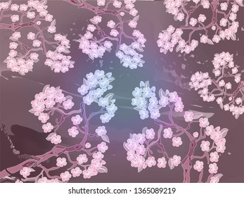 Gentle cherry blossoms