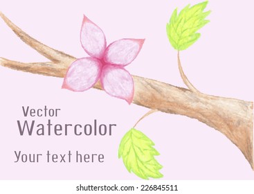 Gentle fairy tale pink watercolor flower on branch of tree. Vector background