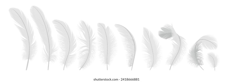 Gentle feathers line realistic vector illustration set. Birds quills with tender texture. Fluffy plumage from angel wings 3d elements on white