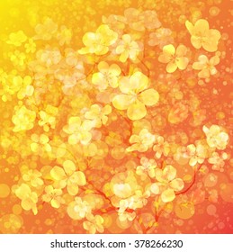 Fundo floral suave