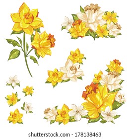 Gentle floral set of flower elements isolated on white background 