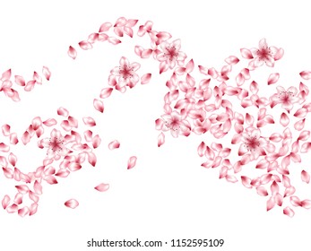 Gentle flower petals flying vector background. Spring blossom elements, cherry, peach or apple bloom petals falling windy vector design.
