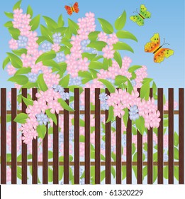 Gentle flowers and multi-colored butterflies. Vector illustration