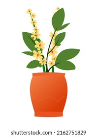 Gentle Indoor plants and flowers. In ceramic pots. Homemade beautiful herbs. Isolated on white background. Cartoon fun style. Vector.