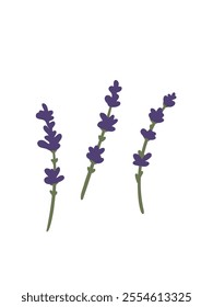 Gentle lavender sprigs in a minimalist design