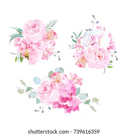 Gentle mix of pink bouquets vector design set. Rose, alstroemeria lily, white peony, hydrangea, eucalyptus, plants and herbs. Wedding bunch of flowers. All elements are isolated and editable.