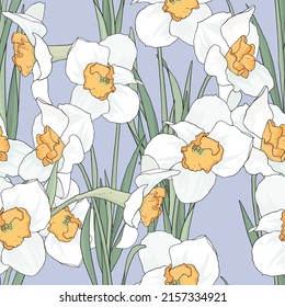 Gentle pattern of white daffodils