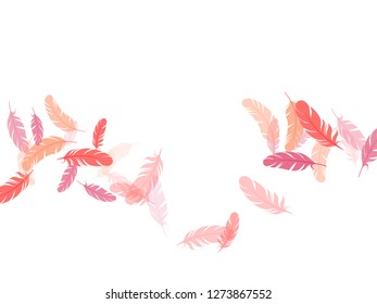 Gentle pink flamingo feathers vector background. Fluffy twirled feathers on white design. Plumage trendy fashion shower decor. Decorative confetti of festive plumelet.