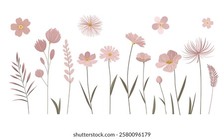 Gentle pink flowers with golden centers. Meadow botanical set for greeting cards. Pastel colored delicate wild flowers.