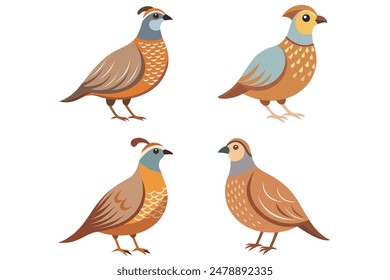 The "Gentle Quail Vector" is a delightful digital graphic design product tailored for the micro stock market. This vector illustration showcases a soft and endearing quail.