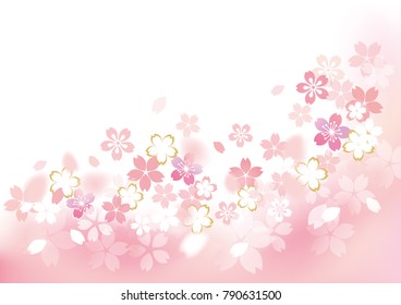 Gentle sakaura blossoms illustration