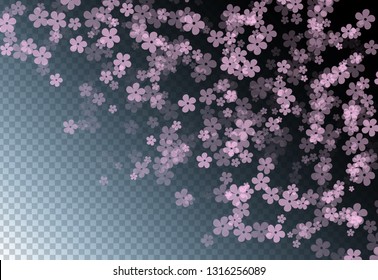 Gentle sakura flowers flying vector background. Spring blossom elements, cherry, peach or apple bloom flowers.