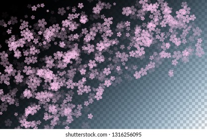 Gentle sakura flowers flying vector background. Spring blossom elements, cherry, peach or apple bloom flowers.