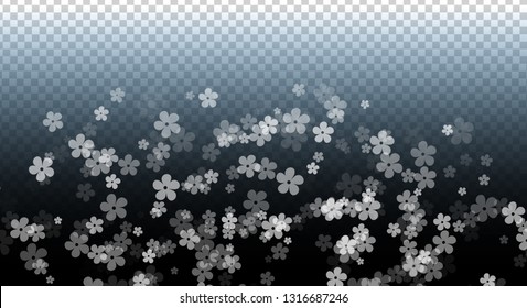 Gentle Scattered Sakura flowers on transparent background. Cherry flowers fall down.