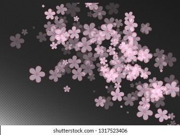 Gentle Scattered Sakura flowers on transparent background. Cherry flowers fall down.
