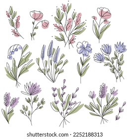 Gentle set of wildflowers. Roses, peony, knapweed, lavender. Vector illustration