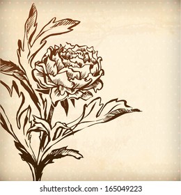 gentle spring chrysanthemum. vector illustration of decorative plant flower. illustration drawn with ink and brush. texture of paper and blots