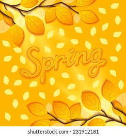 Gentle spring postcard with sunny branches and leaves on soft light. Vector eps 10