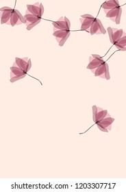 Gentle tropical flowers. Transparent petals on a pink background. Floral pattern in pastel colors.