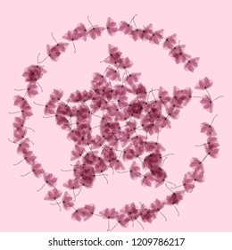 Gentle tropical flowers. Transparent petals on a pink background. Floral pattern in pastel colors.