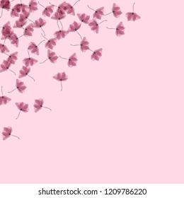Gentle tropical flowers. Transparent petals on a pink background. Floral pattern in pastel colors.
