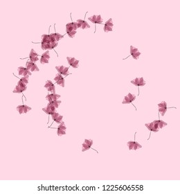 Gentle tropical flowers. Transparent petals on a pink background. Floral pattern in pastel colors.