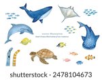 Gentle watercolor hand-painted sea creatures illustration set