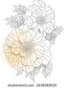 A gentle watercolor and line art illustration of two marigold flowers. Perfect for botanical-themed designs, cards, and decorative projects.