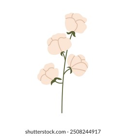 Gentle wild flower. Wild field floral plant. Flat vector illustration isolated on white background