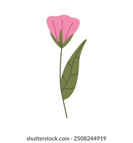 Gentle wild flower. Wild field floral plant. Flat vector illustration isolated on white background