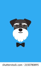 Gentlemen dog wear glasses and bowknot like a man, Fashion portrait of dog, schnauzer