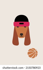 Gentlemen dog wear hat and a head hoop like a man, Fashion portrait of basketball sport dog