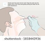 Gently insert the swab into the nostril. Keep the swab near the septum floor of the nose while gently pushing the swab into the post nasopharynx