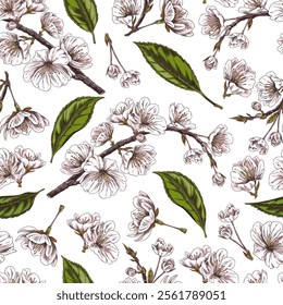 Gently pink blooming cherry flowers on a branch, green leaves. Seamless pattern. Sketch. Hand drawn. Vintage style. Ideal for wallpaper, fabric. Nature, spring. Vector illustration on white background