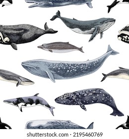 Gently seamles pattern with different whales.