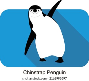 gentoo chinstrap penguin standing on the ground